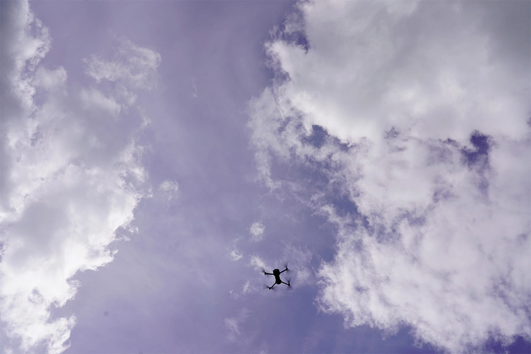 Image illustrant l'article