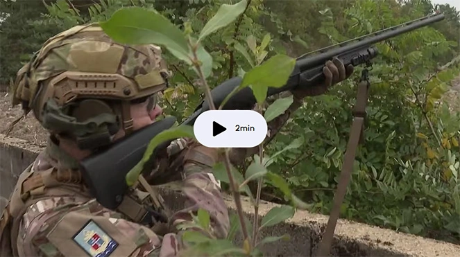 Image illustrant l\article